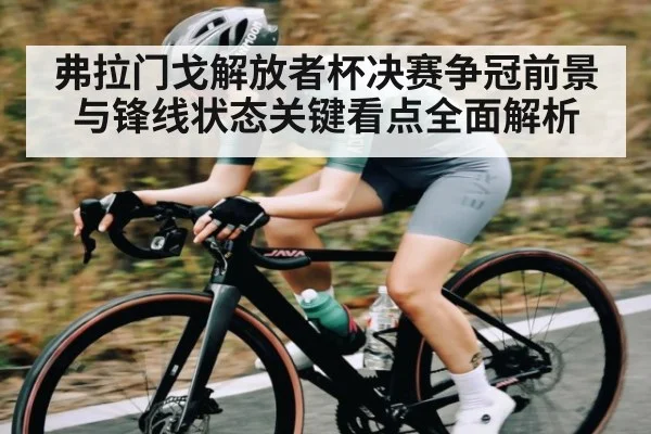 弗拉门戈解放者杯决赛争冠前景与锋线状态关键看点全面解析